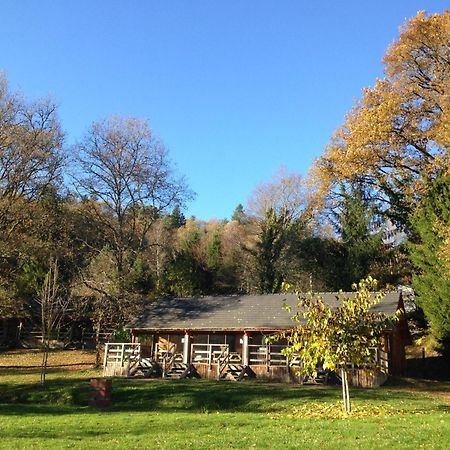 فيلا Au Bois De Calais Corrèze المظهر الخارجي الصورة